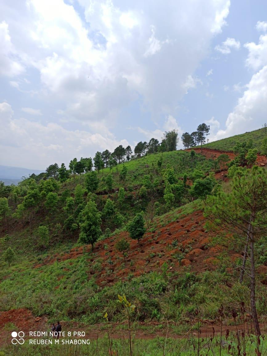 Umdohbyrthih - Heavy deforestationa and loss of soil fertility.jpg